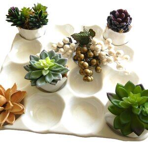 Cupcake Oyster hors d'oeuvres Votive Succulent Plant White Ceramic Plate Server